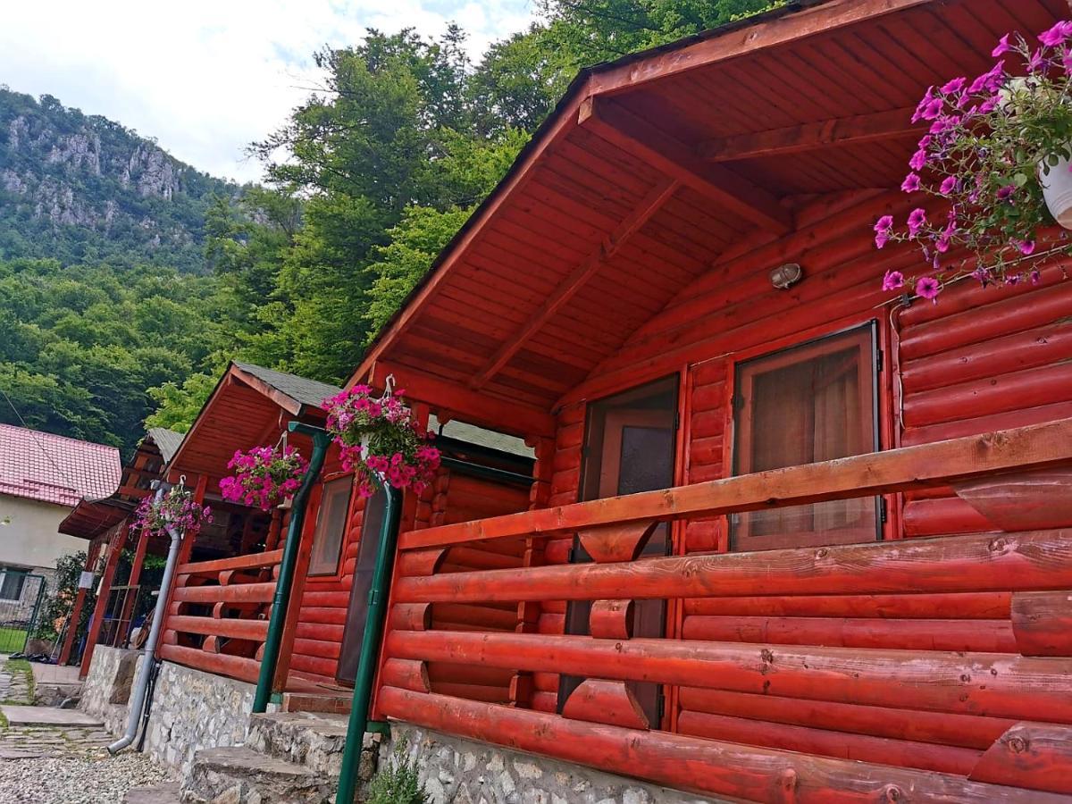 Casa Beasarah. Villa Dubova Buitenkant foto
