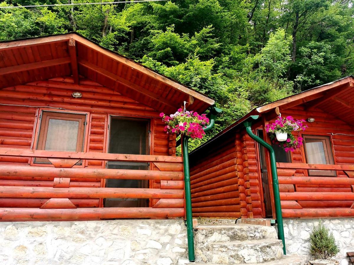 Casa Beasarah. Villa Dubova Buitenkant foto